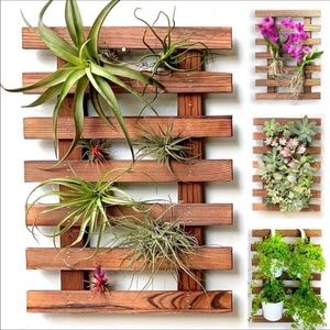 Wall Decor Air Plant Holder NEW